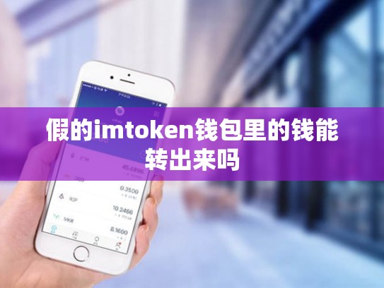 假的imtoken钱包里的钱能转出来吗
