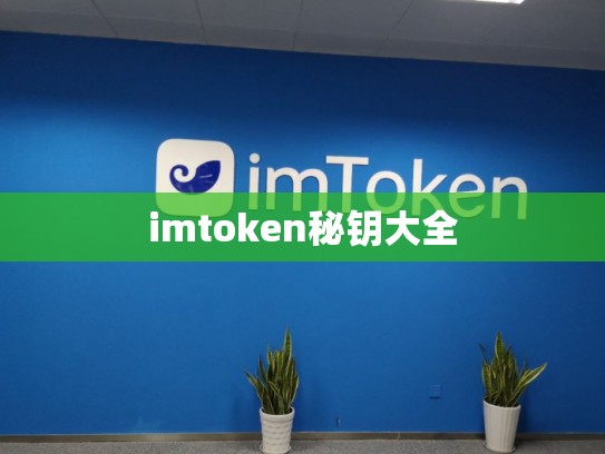 imtoken秘钥大全